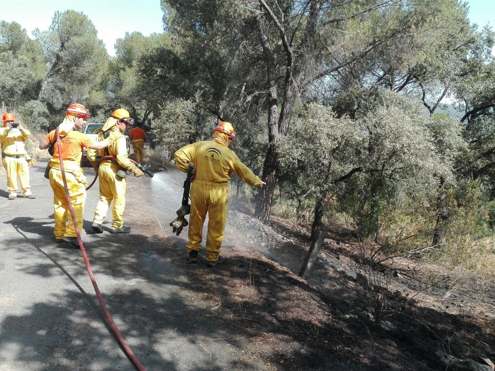 Grupo de Pronto Auxilio de las Siete Fincas: guardianes contra el fuego