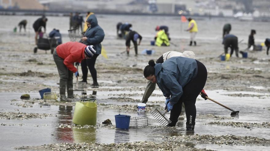 Las cofradías de la ría de Pontevedra mantendrán la actividad sin pedir ayudas a la Xunta