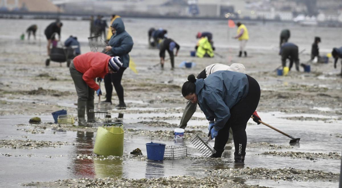 Mariscadoras faenando en Campelo. | RAFA VÁZQUEZ