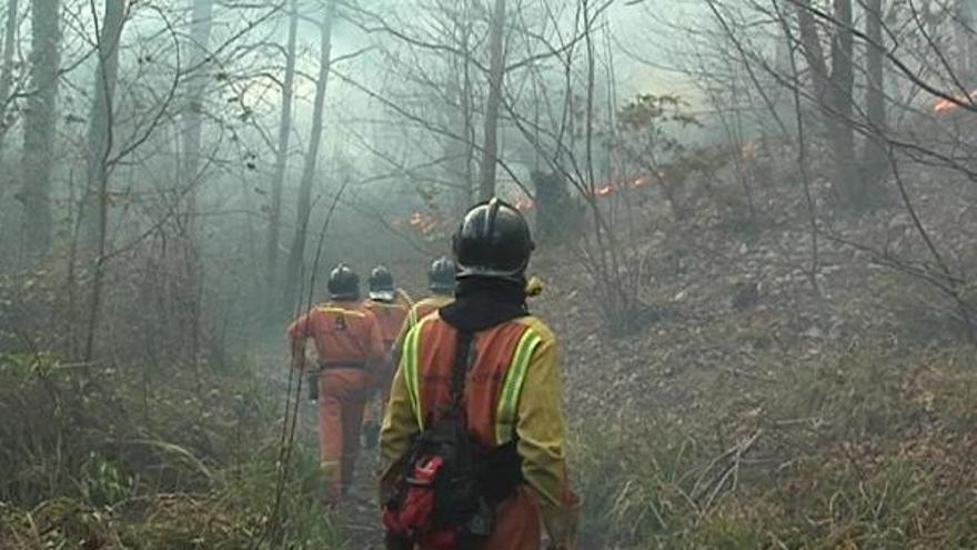 Condena inédita: más de 1,7 millones de indemnización por un incendio forestal