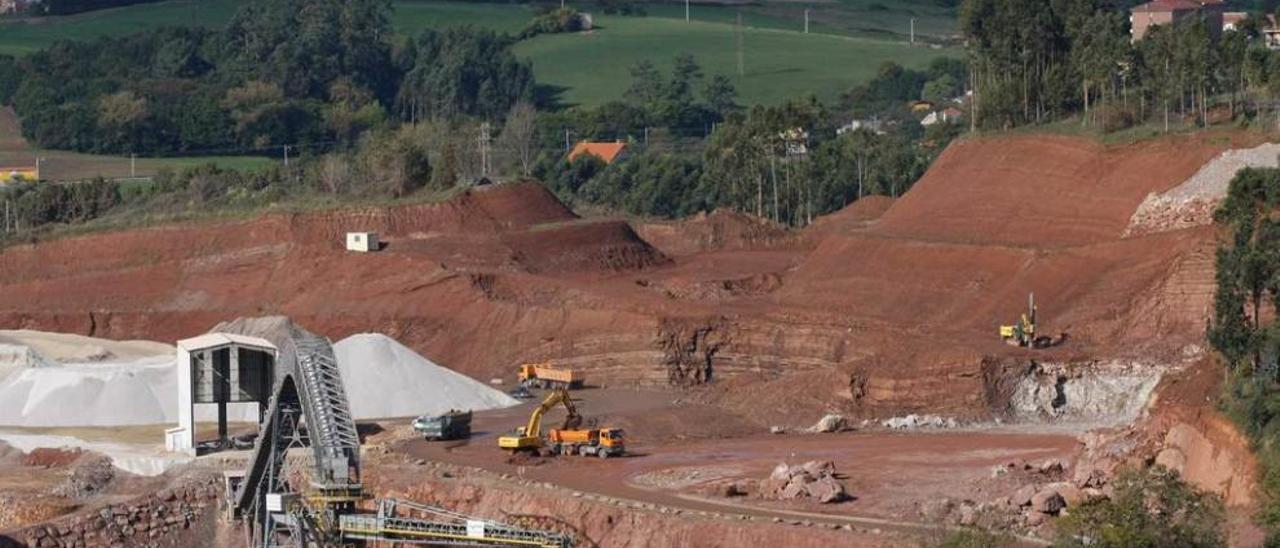 Trabajos de desmonte realizados por Dique Torres en 2010 en Peña María, terrenos de Tudela Veguín colindantes con su fábrica.