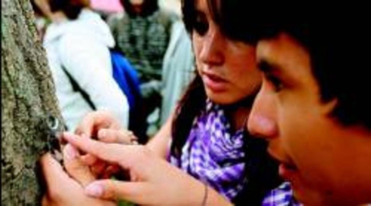 Dos estudiants observen una estranya formiga depredadora del pugó, dimecres a la Ciutadella. Dos estudiants observen una estranya formiga depredadora del pugó, dimecres a la Ciutadella.