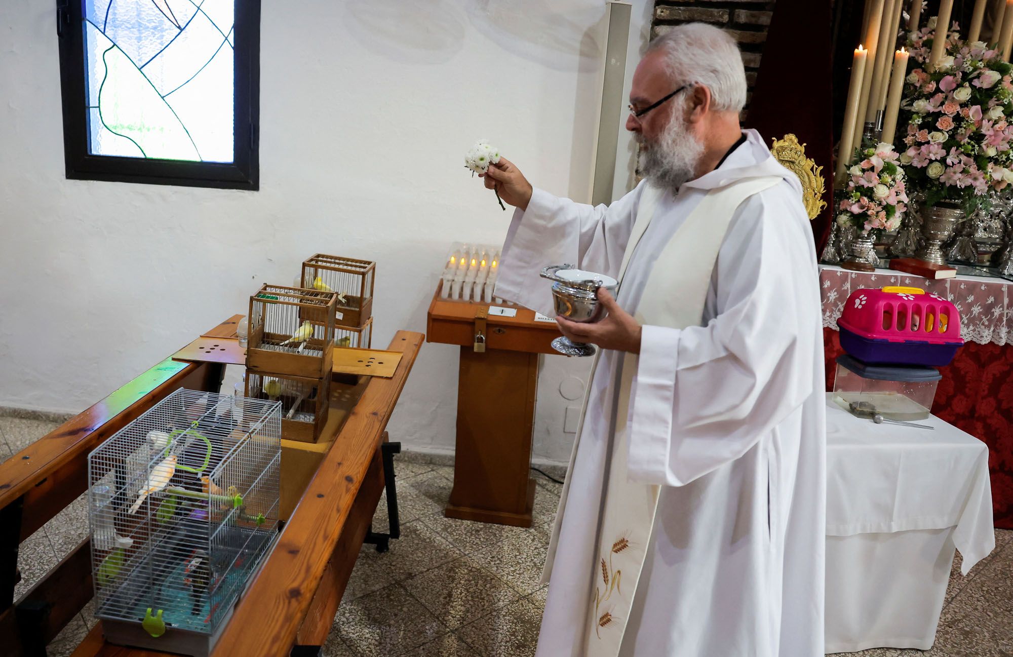 Bendición de animales en la iglesia de San Antonio Abad, en Churriana