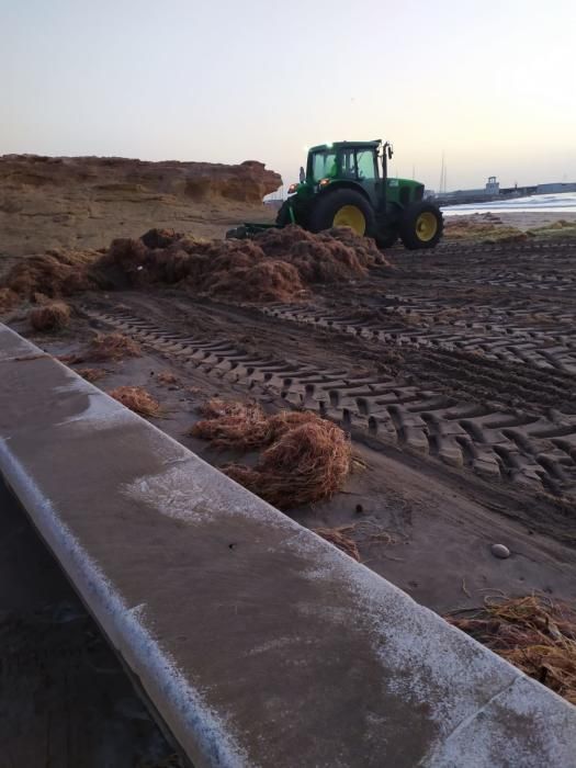 Daños por el temporal en El Campello