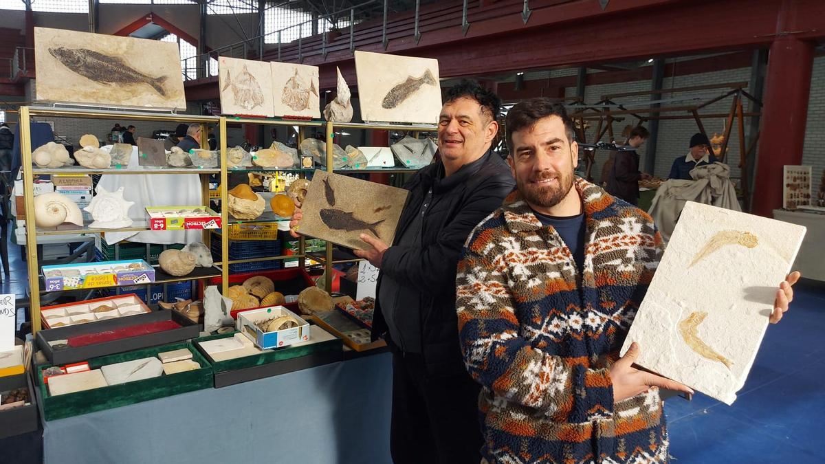 En imágenes: éxito de la primera feria de fósiles, meteoritos y minerales de Vegadeo
