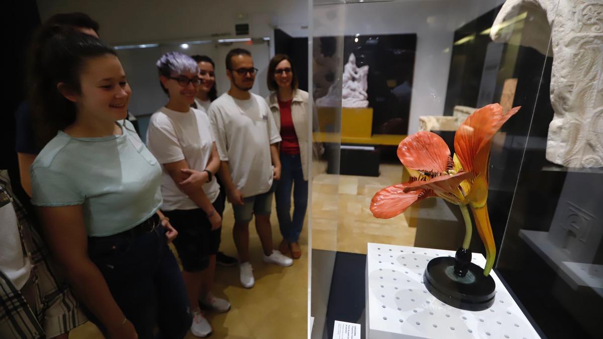 Flora expone el vínculo ancestral entre botánica y arqueología