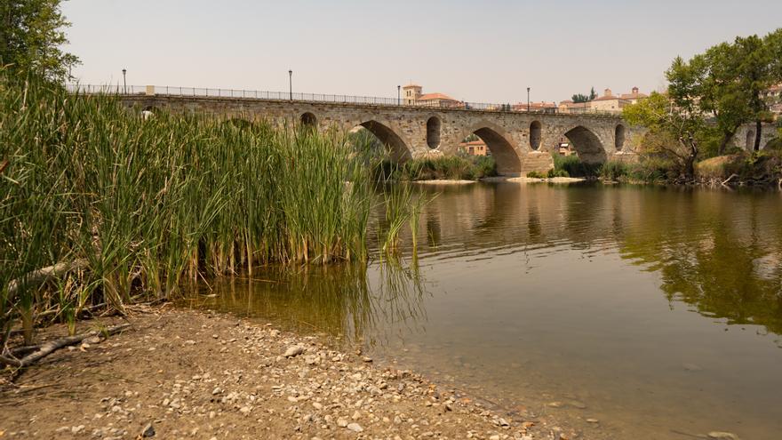El caudal del Duero en Zamora, por debajo del nivel ecológico