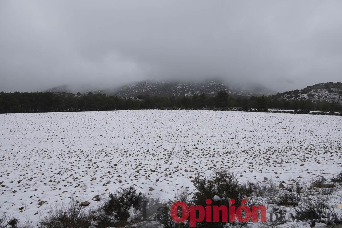 Así se está viviendo la última nevada en las proximidades de Revolcadores en Moratalla Así se está viviendo la última nevada en las proximidades de Revolcadores en Moratalla