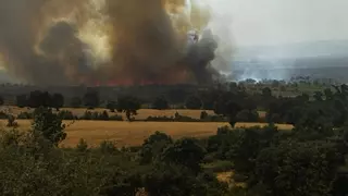 El incendio de Puercas vira hacia Abejera y Riofrío: hay heridos por quemaduras, intoxicados por humo y han ardido varias casas; el fuego de Molezuelas se adentra en el casco urbano de Carracedo