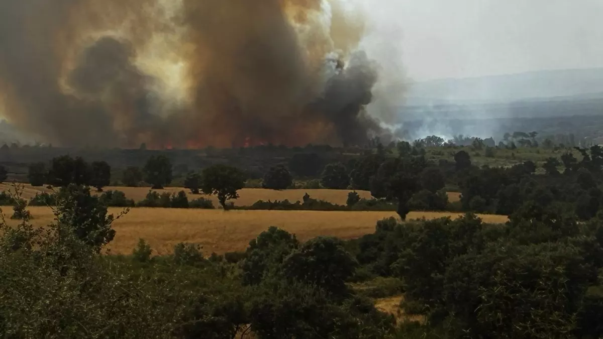 El incendio de Puercas vira hacia Abejera y Riofrío: hay heridos por quemaduras, intoxicados por humo y han ardido varias casas; el fuego de Molezuelas se adentra en el casco urbano de Carracedo