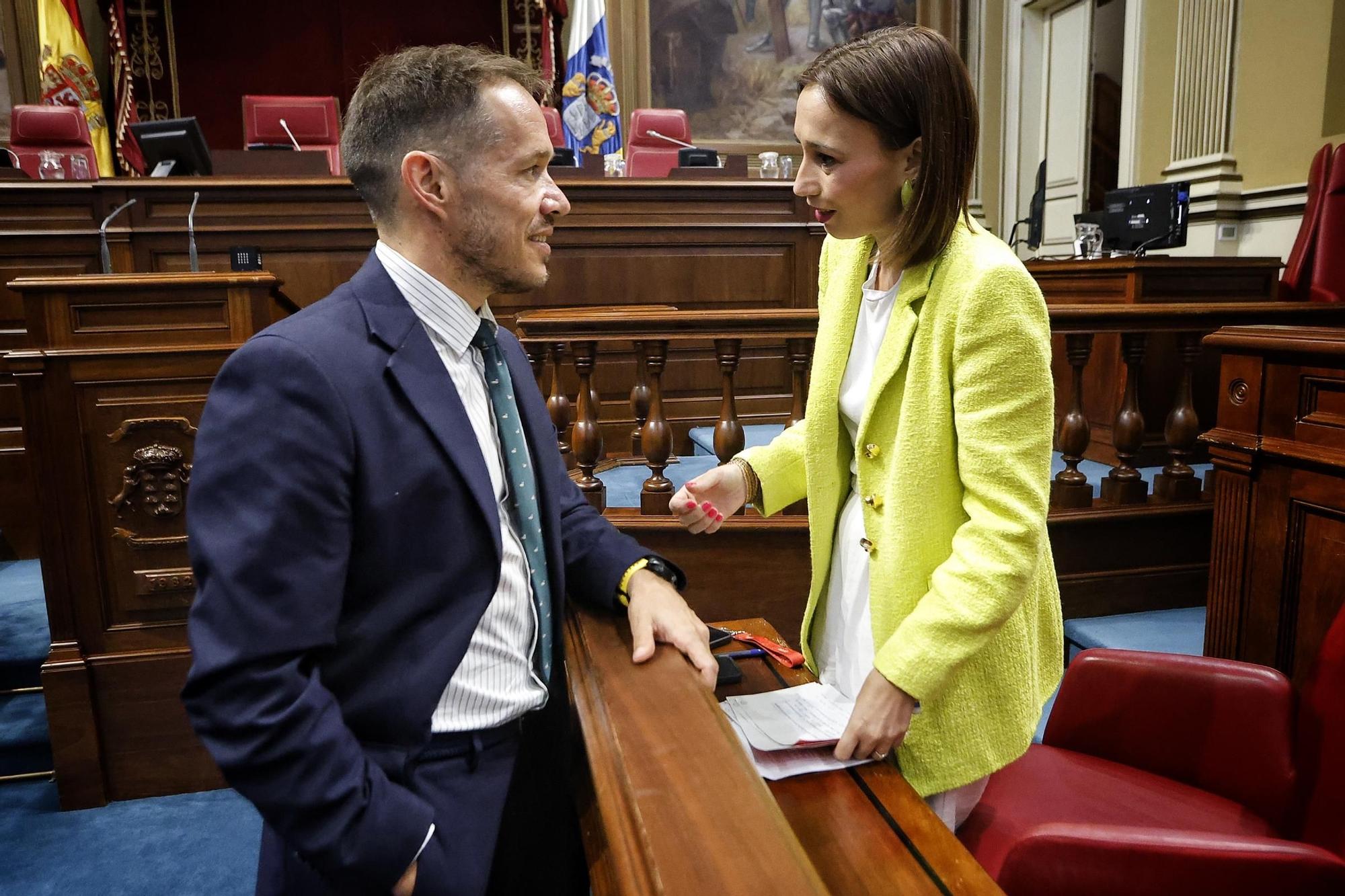 Pleno del Parlamento (08/04)