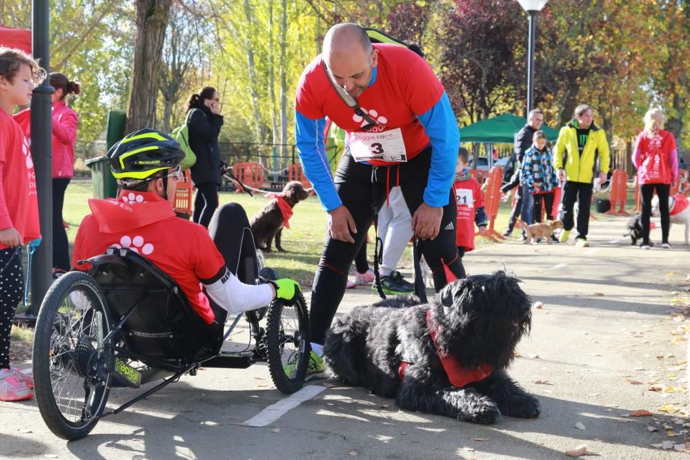 Así ha sido la Doggie Race en Benavente