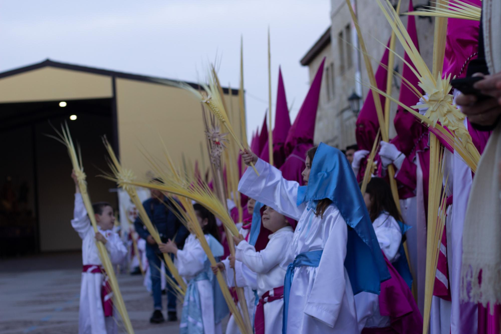 ZAMORA.DOMINGO DE RAMOS