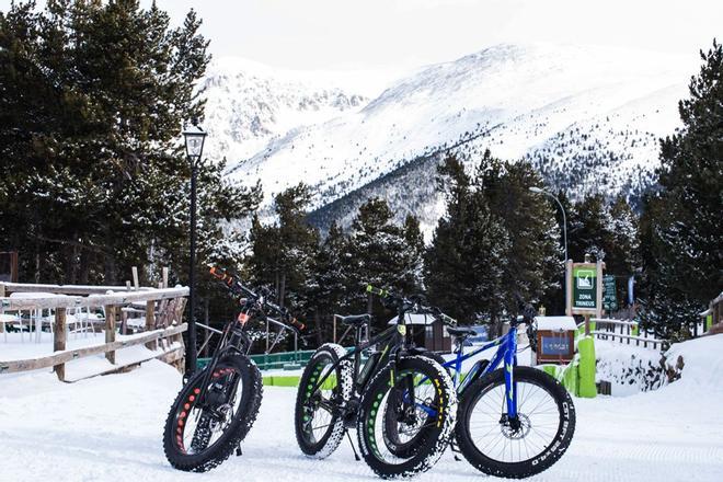 Fat Bikes