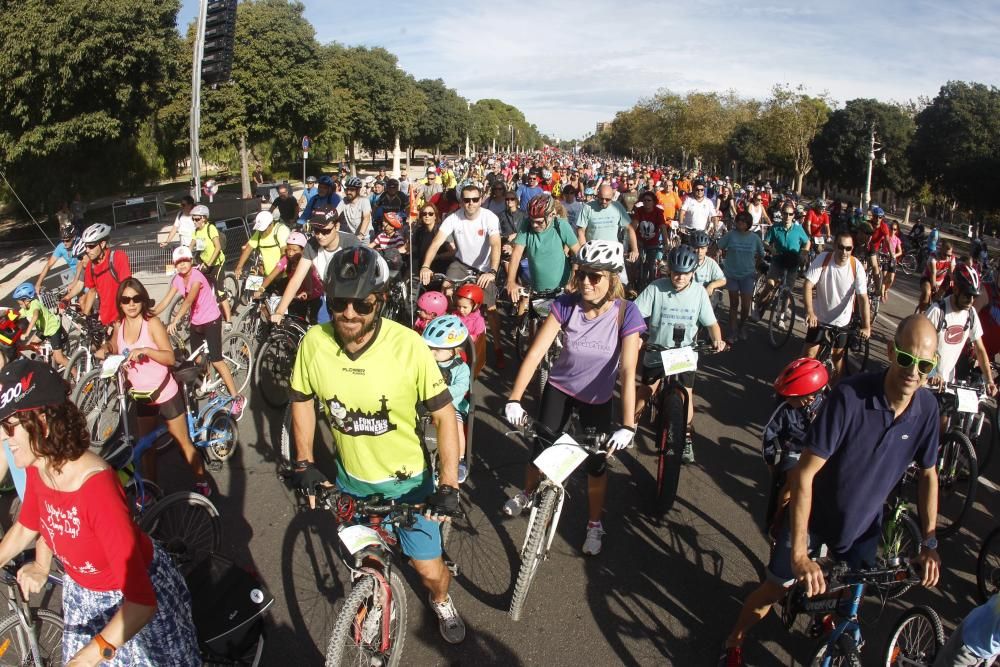 XX Día de la Bicicleta en Valencia