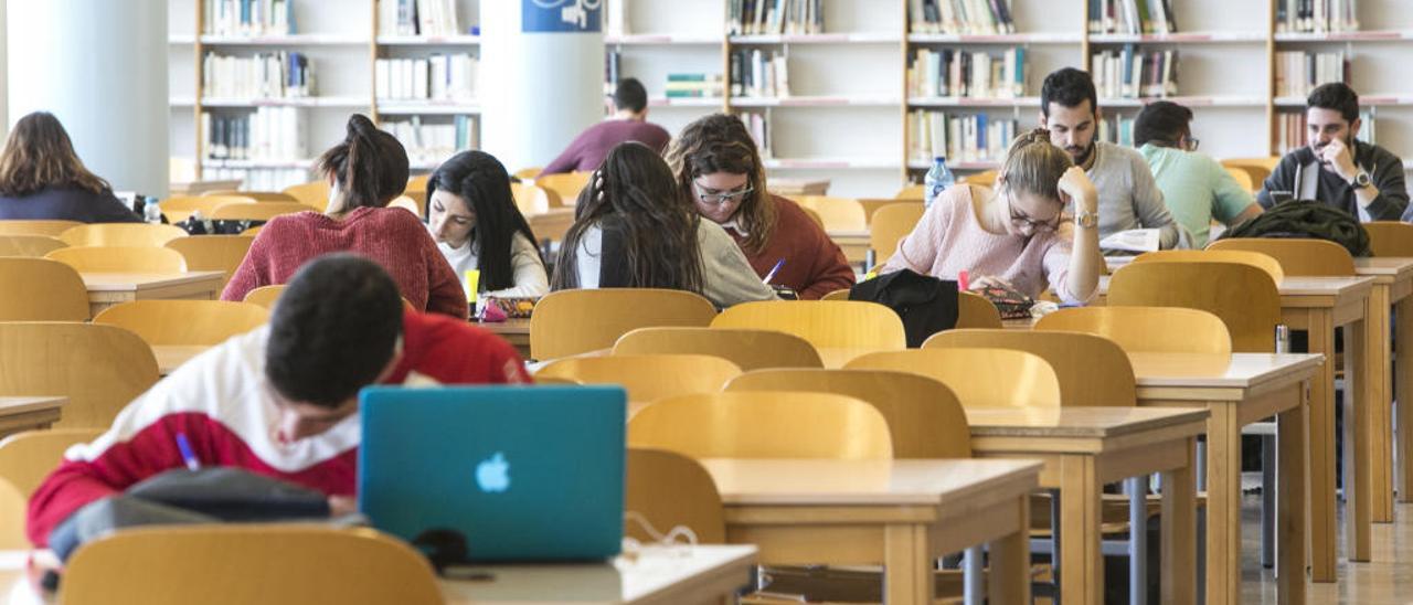 Mais Der Wind ist stark es ist wunderschön universidad de alicante Mir Spektakulär Bewunderung