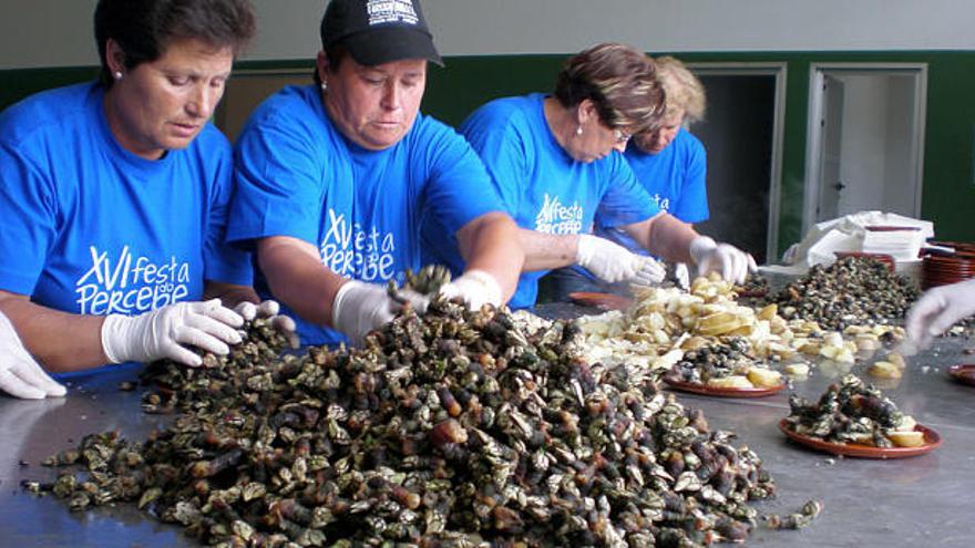 Organizadores de la fiesta preparan, ayer, las raciones de percebe.