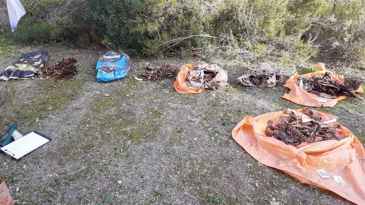 Bolsas con los restos óseos de los perros encontradas en la zona de es Cap