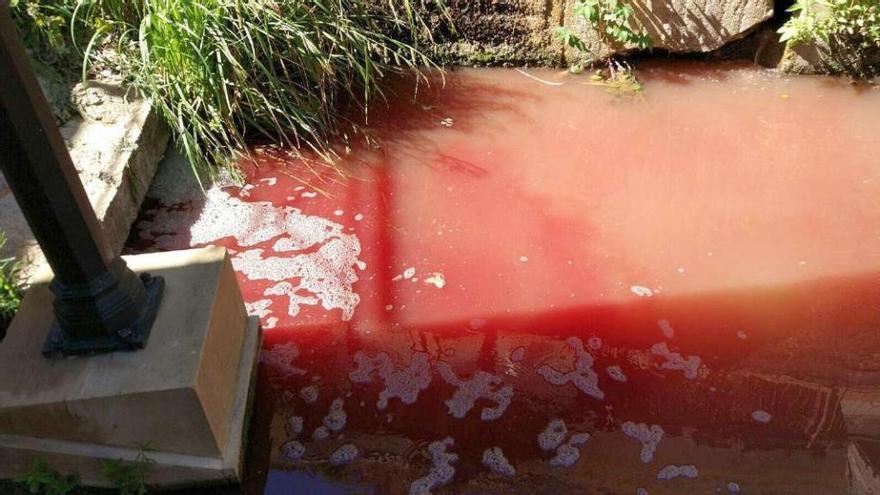 Vertido de sangre al río Duero a su paso por Soria