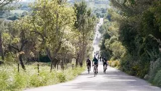 El pelotón mallorquín suma más de 2.000 ciclistas a la Mallorca 312 OK Mobility