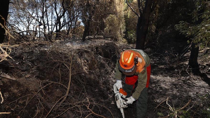 Sábado de trabajos en el incendio del Saler