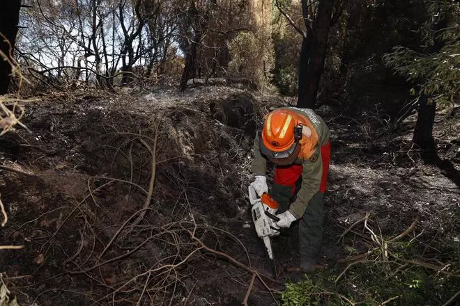 Sábado de trabajos en el incendio del Saler