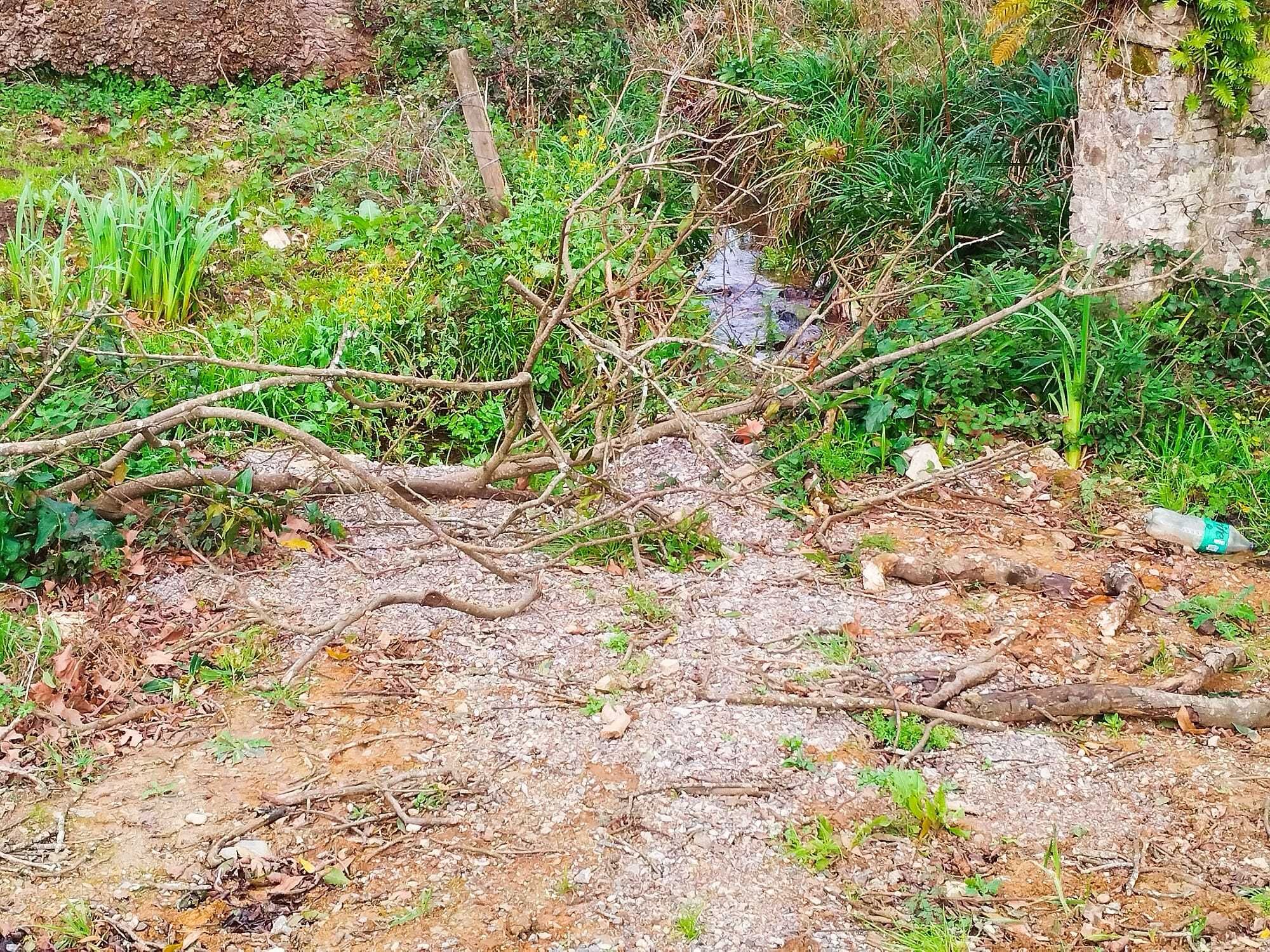 El lavadero de Cefontes, en Cabueñes, en imágenes