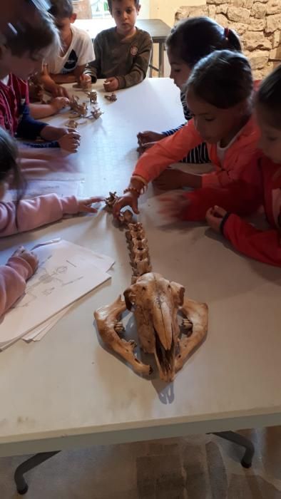 Talleres infantiles en el Día de los Museos