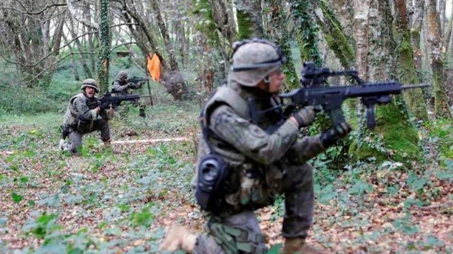 Entrenamiento de soldados de la Brilat en una zona boscosa.