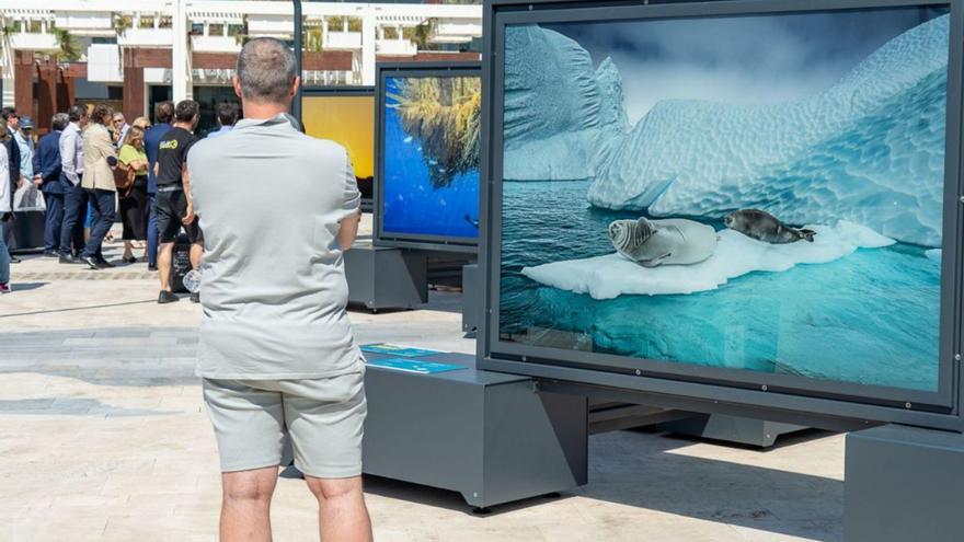 Un hombre mira la exposición en el día de su inauguración. | AYTO. CARTAGENA