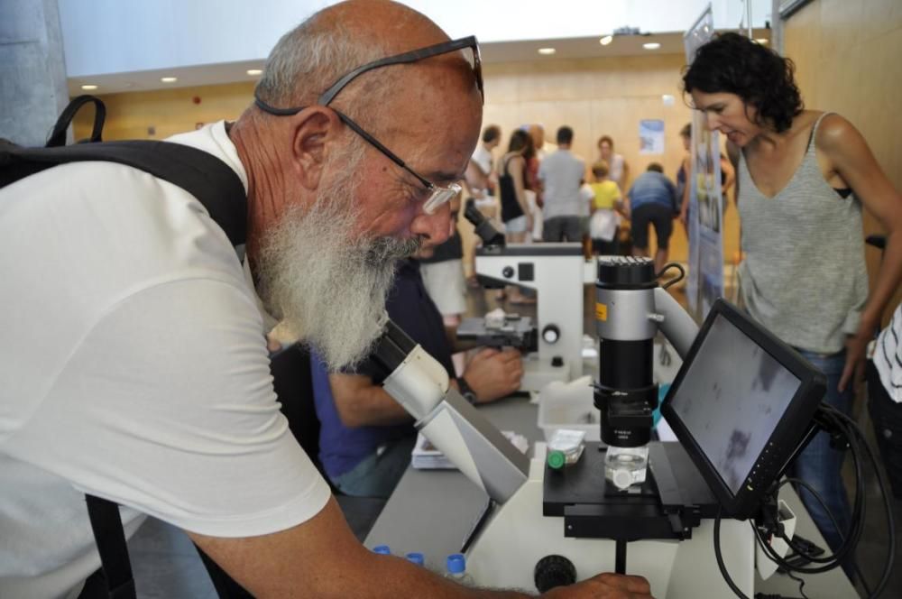 Jornada sobre els beneficis del mar sobre la salut