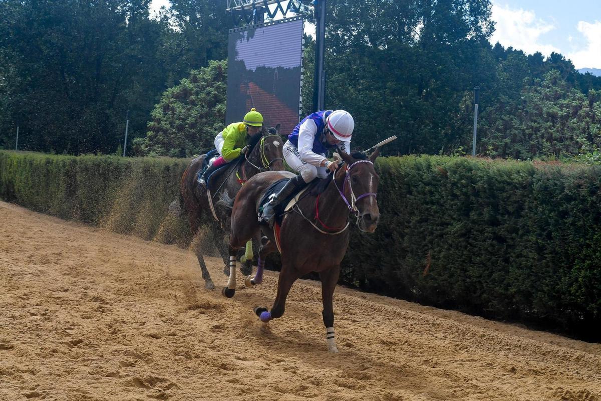 Carrera de caballos en La Laguna de Valleseco, en Gran Canaria.