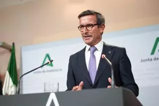 El consejero de Industria, Energía y Minas de la Junta de Andalucía, Jorge Paradela, califica de "trompezón" con la autorización a la mina de Aznalcóllar