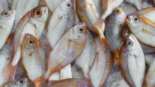 El peor pescado de España se encuentra en este supermercado según la OCU
