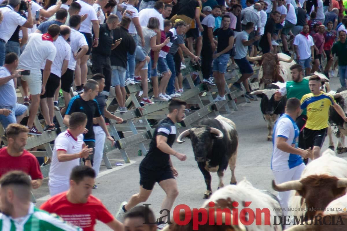 Primer encierro de la Feria del Arroz de Calasparra