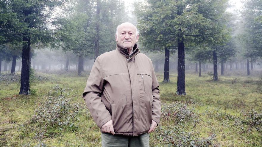 Xosé Rodríguez Couselo en el Bosque de Colón, con cerca de medio millar de secuoyas. // Rafa Vázquez