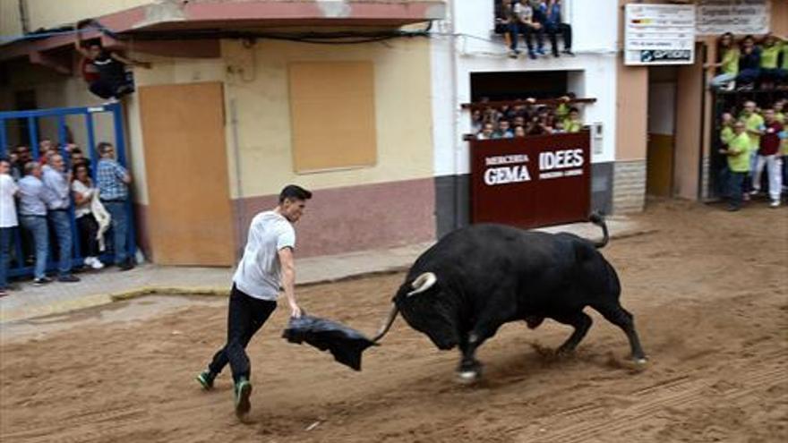 La Vall se rinde a los toros en sus celebraciones patronales