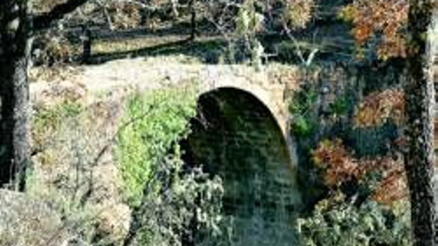 Denuncian el mal estado del puente medieval de Jaranda