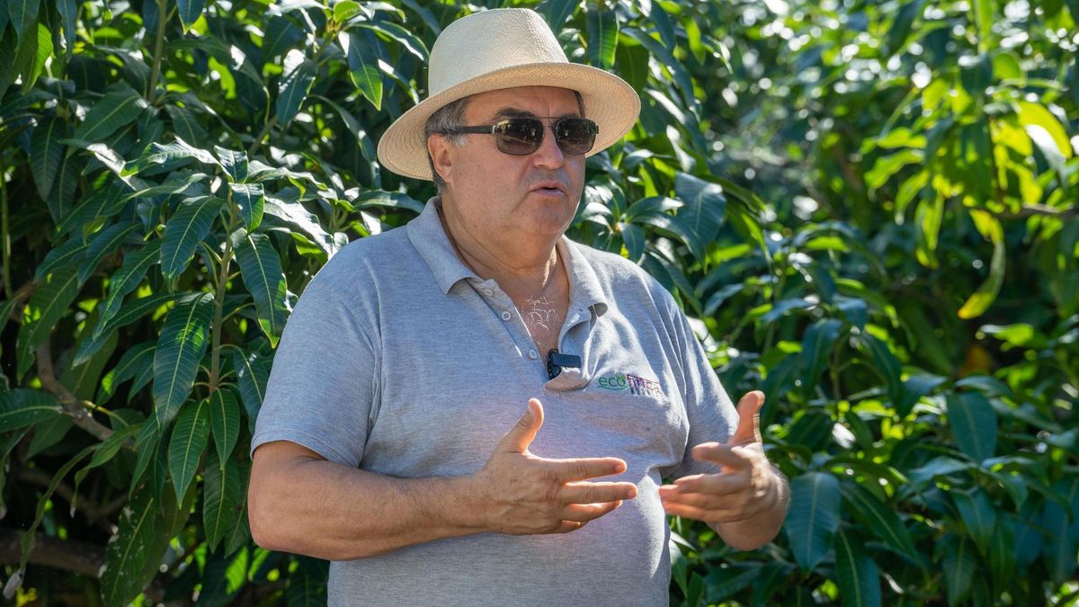 El representante de la finca entre sus cultivos en La Palma, Rubén Piñero.