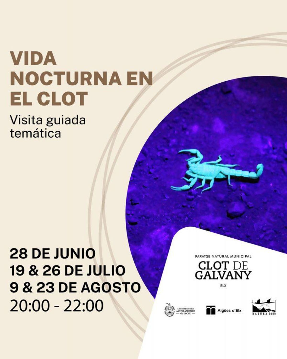 Vida nocturna en el clot