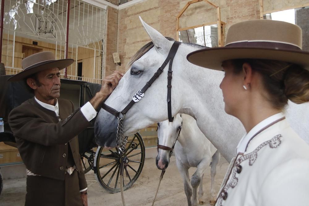 Fotogalería /  Primera jornada de Cabalcor.