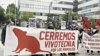 Caso Vivotecnia: todo lo que ha pasado en el juicio y qué esperar de la sentencia