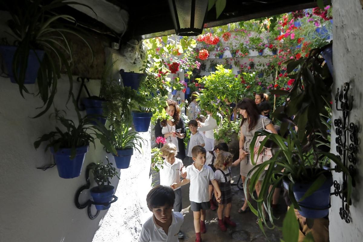 Fotogalería / 'Conoce los Patios de Córdoba' para escolares