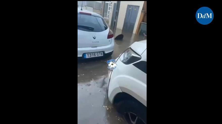 La tempesta lascia 119 incidenti nelle Baleari, la maggior parte a Mallorca per cadute di alberi e allagamenti