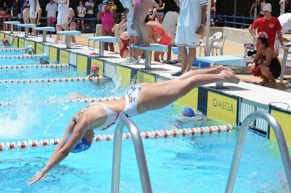 Trofeo Ciudad de Murcia