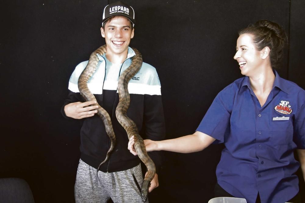 Mir se deja abrazar por una serpiente pitón en Australia