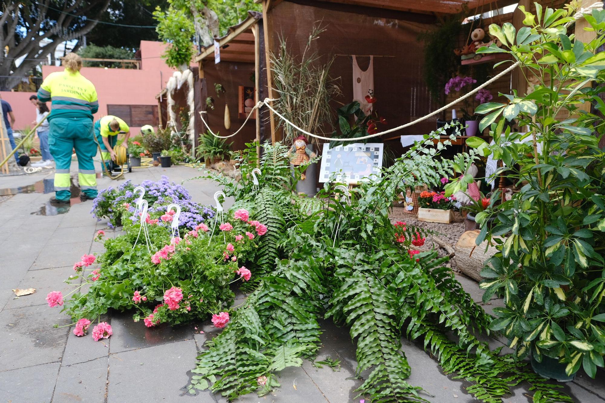  Exposición de flores ‘Florabrígida’ 