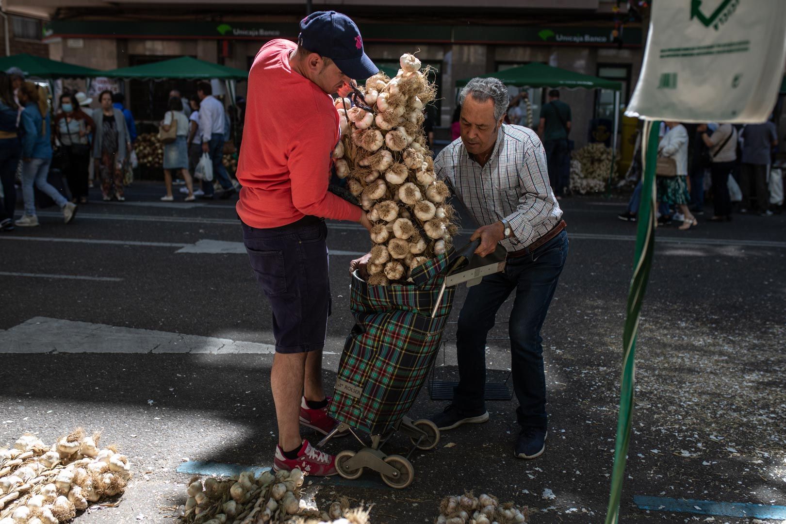 GALERÍA | Las mejores imágenes de la Feria del Ajo de Zamora