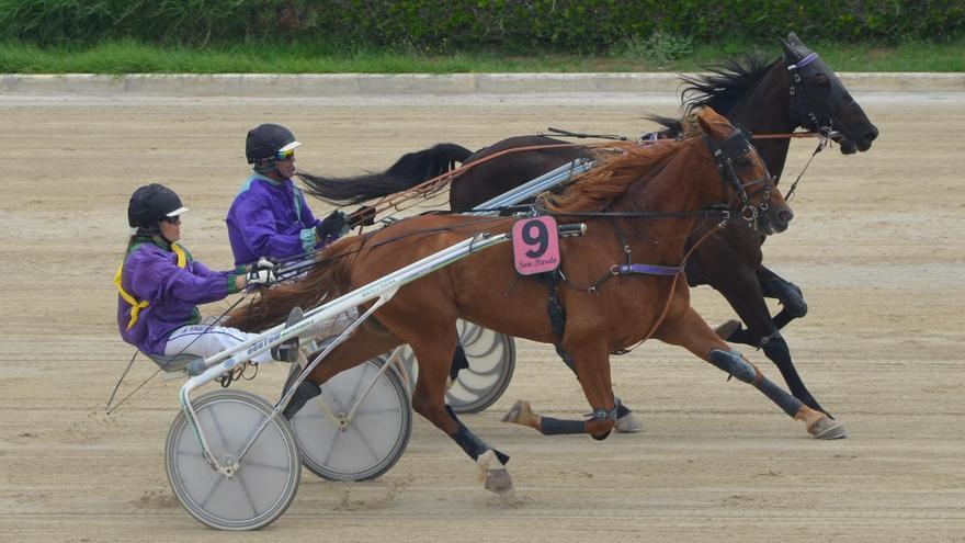 Galliano Bello quiere redondear en la estelar de Manacor su triplete particular