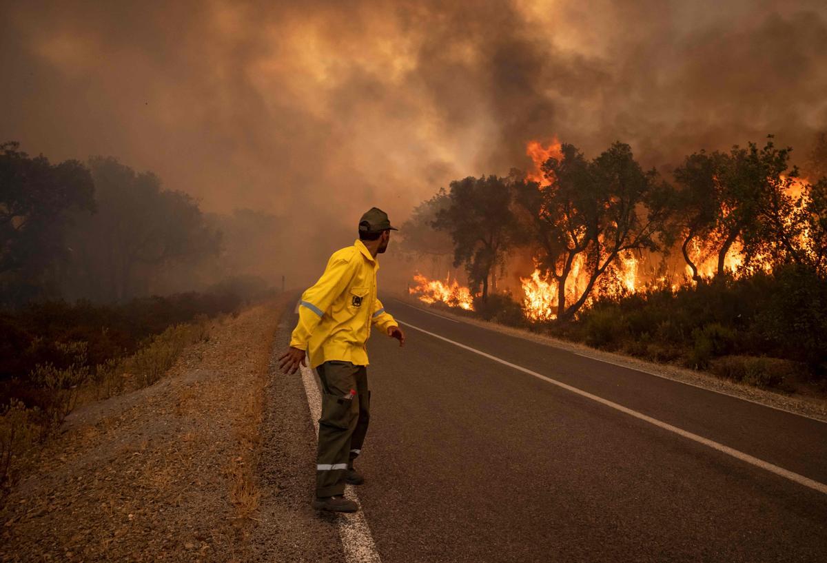 Un guarda bosques observa un fuego descontrolado en la ciudad de Ksar el-Kebir, en Marruecos. La foto es del 15 de julio del 2022.